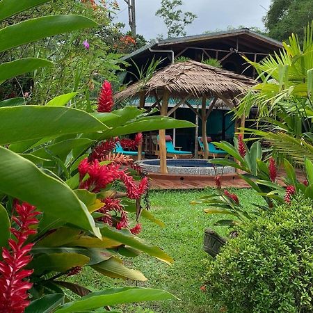 Casa Mambo Bed and Breakfast Cahuita Εξωτερικό φωτογραφία