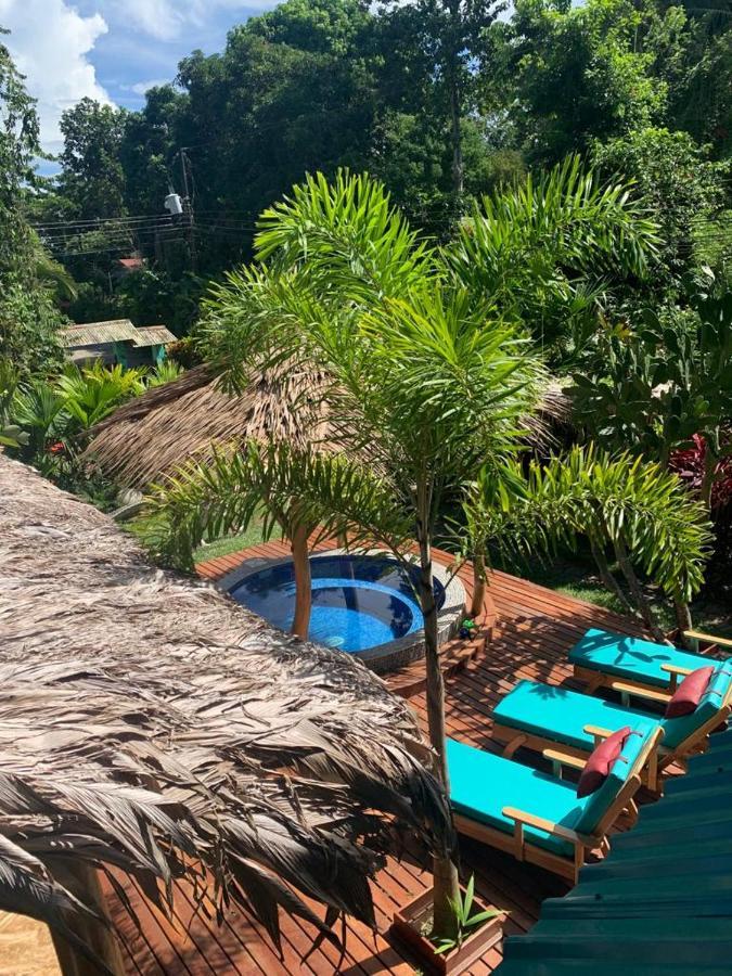 Casa Mambo Bed and Breakfast Cahuita Εξωτερικό φωτογραφία