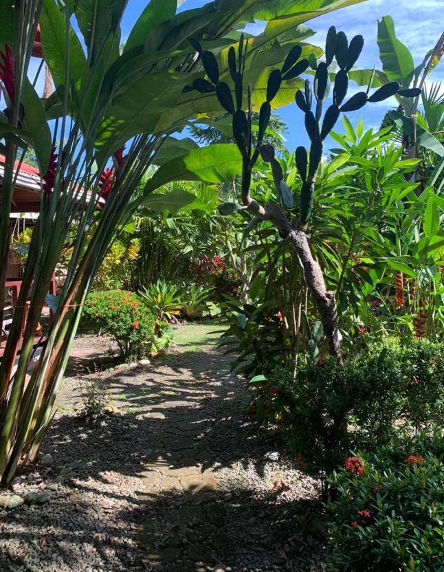 Casa Mambo Bed and Breakfast Cahuita Εξωτερικό φωτογραφία