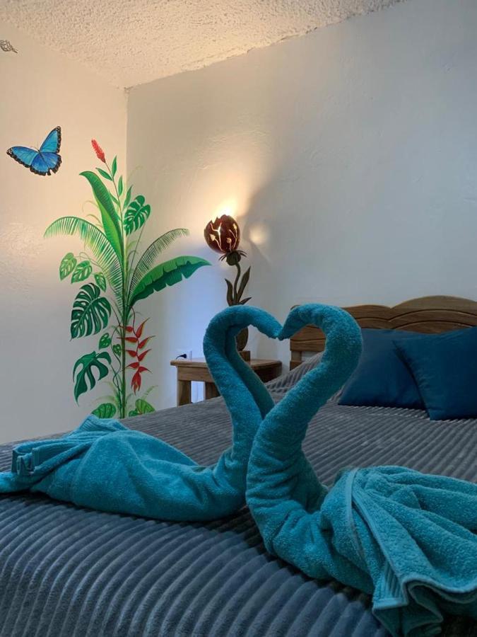 Casa Mambo Bed and Breakfast Cahuita Εξωτερικό φωτογραφία